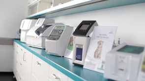 catálogo de productos