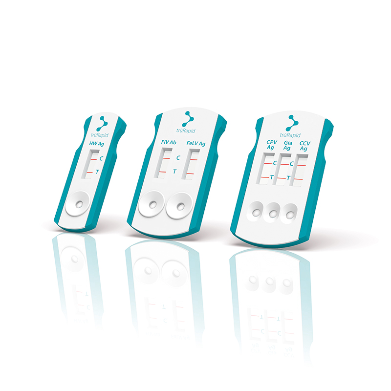 trūRapid Parvovirus